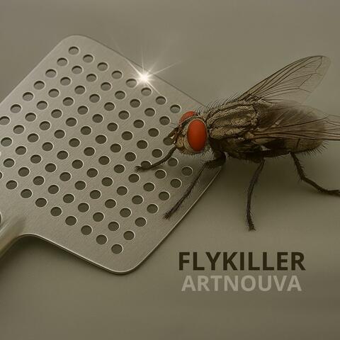Fly Killer