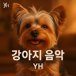 멍멍 왈왈 신나는 하루