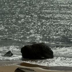 honeymoon with strangers