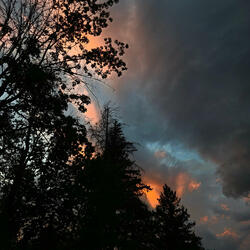 Blues (Slowed/Reverb)