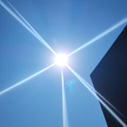 Rey, a drop of golden sun