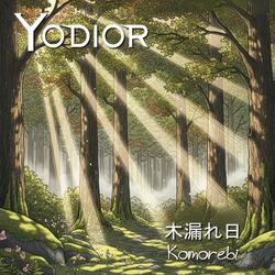 Komorebi - 木漏れ日