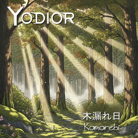 Komorebi - 木漏れ日