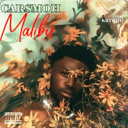 Malibu (feat. Kryptic)