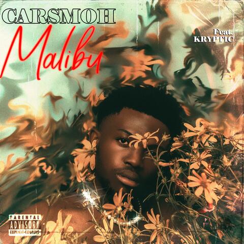 Malibu (feat. Kryptic)
