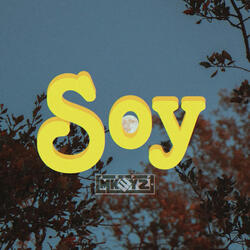 Soy