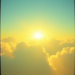 Good night my love