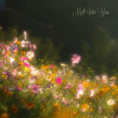 MELT INTO YOU