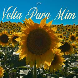Volta para mim