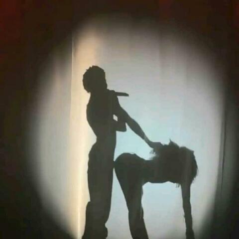 LOTUS FLOWER BOMB