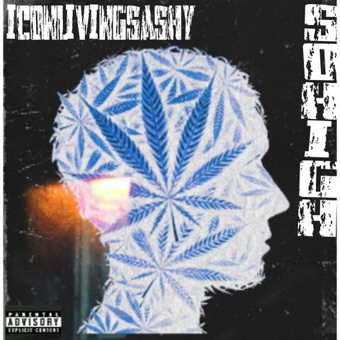 So high (Radio Edit)