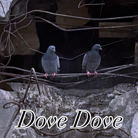 Dove Dove