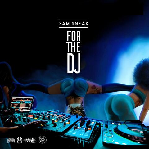 For the DJ