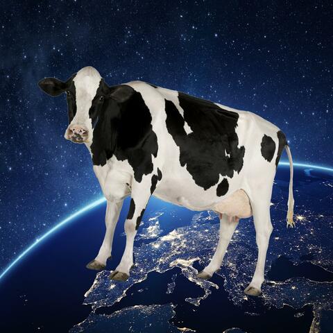 Beef'n