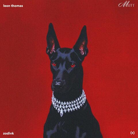 MUTT (+)