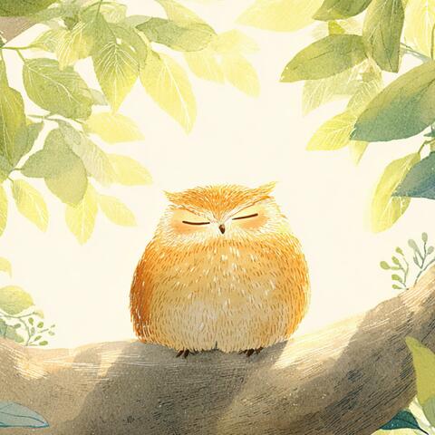 An Owl Resting in the Daytime Forest Shade. – lo-fi chill BGM