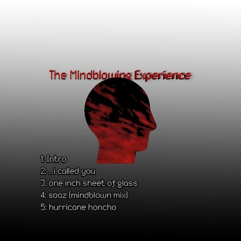 The Mindblowing Experience