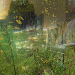 Pieces of my heart, everywhere I've been