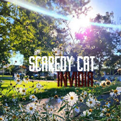 If I Had To (Acoustic)