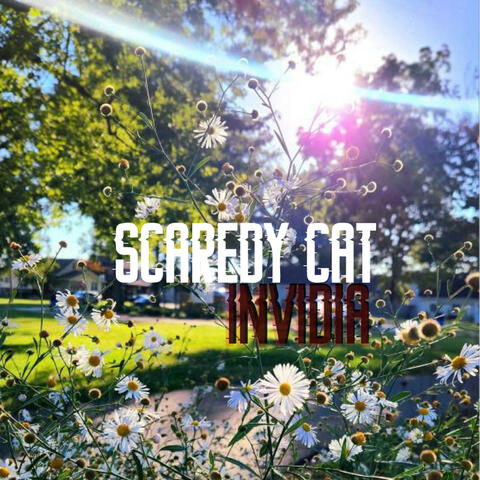 If I Had To (Acoustic)