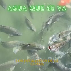 AGUA QUE SE VA