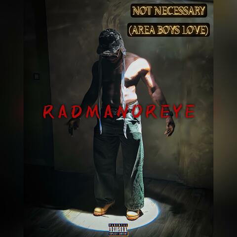 NOT NECESSARY(AREA BOYS LOVE)