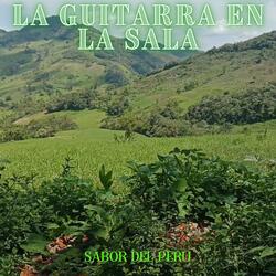 LA GUITARRA EN LA SALA