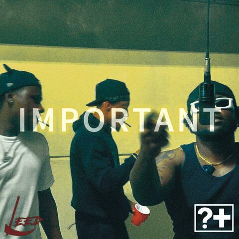 IMPORTANT (feat. I'Mani & Sr.Matrix)
