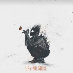 Cry No More (feat. Salty MC)
