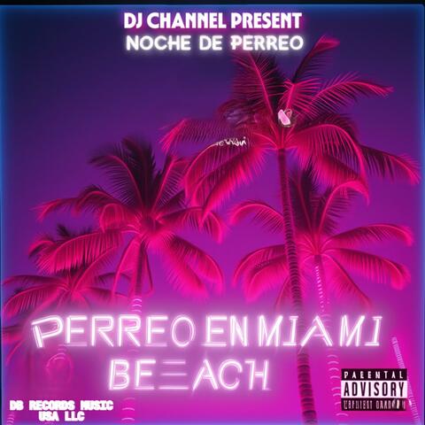 NOCHE DE PERREO EN MIAMI BEACH