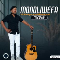 Ikhaya lemikhukhu