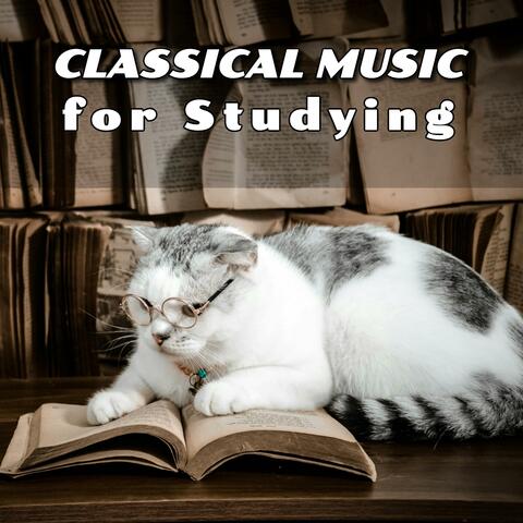 Classical Music for Studying & Brain Power
