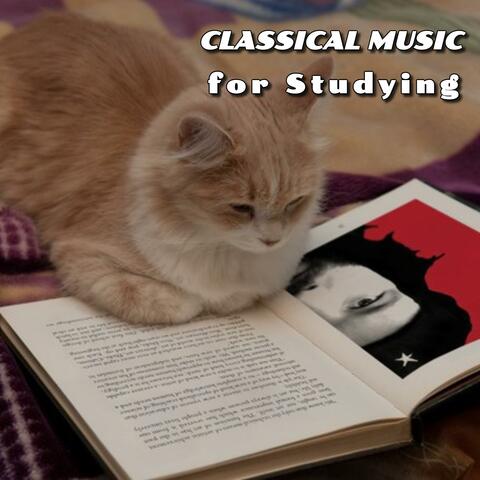 Classical Music for Brain Power & Studying for Deep Focus
