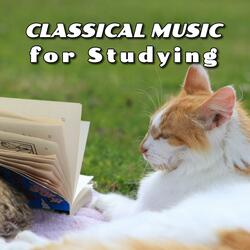 Classical Music for Brain Power & Studying