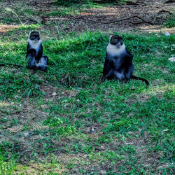 Love dejavoo beat ya valentine