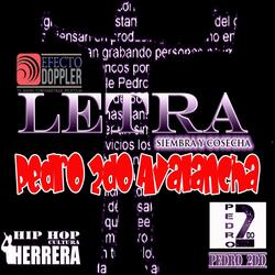 Pedro 2do Avalancha Radio