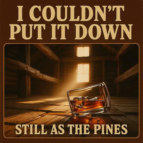 I couldn't put it Down