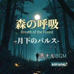森の呼吸 －夜の樹海ジャーニー－