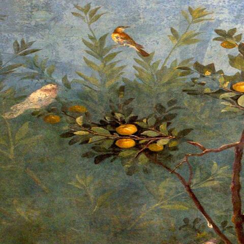 la vida no sale tan cara