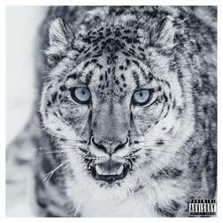 SNOW LEOPARD