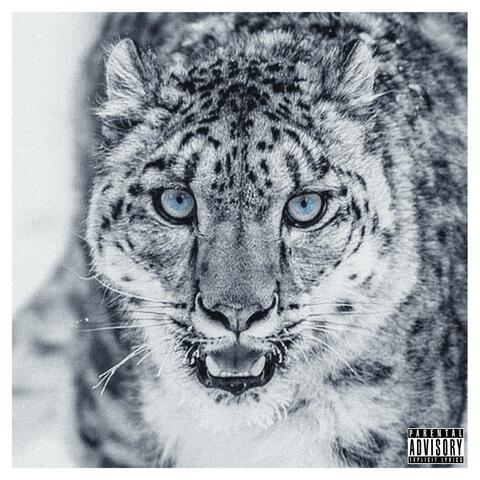 SNOW LEOPARD