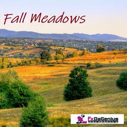 Fall Meadows