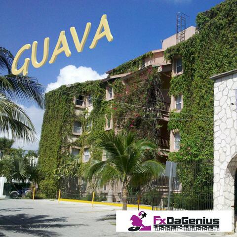 Guava