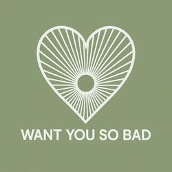 Want You So Bad