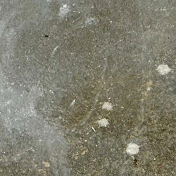 We Are At A Disadvantage