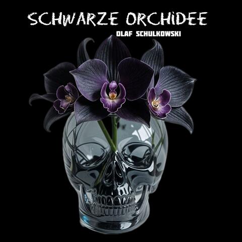 Schwarze Orchidee