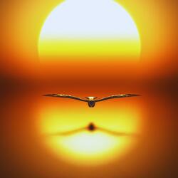 Live Your Light (Remastered Version)