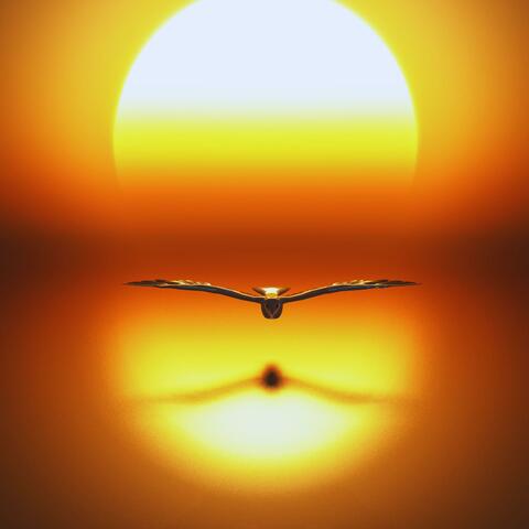 Live Your Light (Remastered Version)