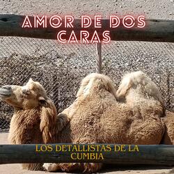 AMOR DE DOS CARAS