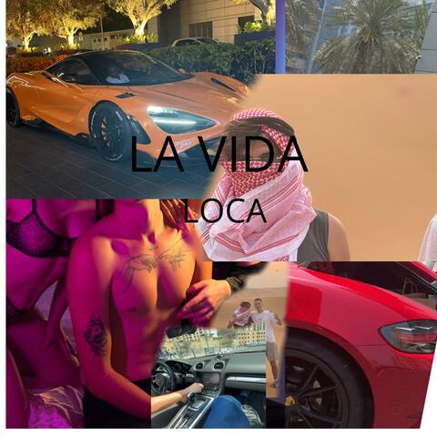 LA VIDA LOCA (feat. Dani)